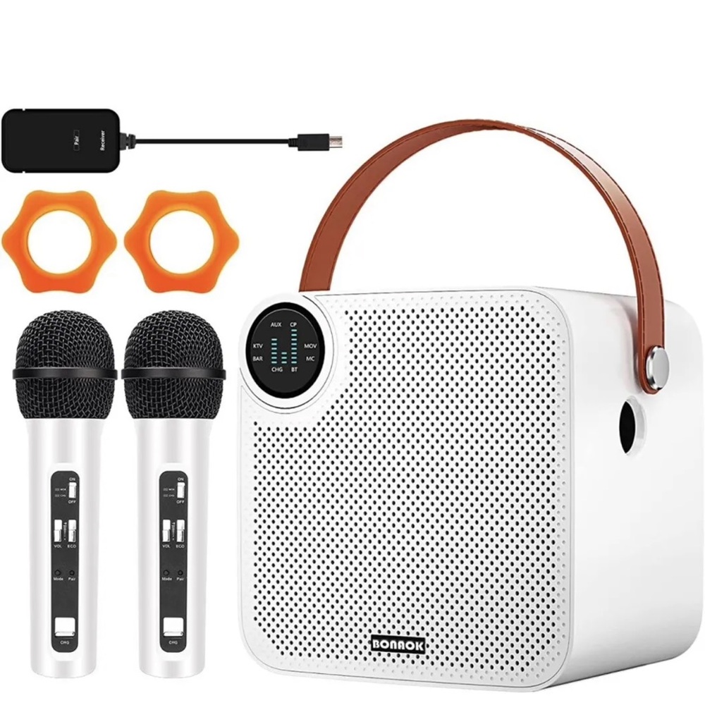 Karaoke Machine with 2 Wireless Microphone